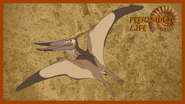 Pteranodon