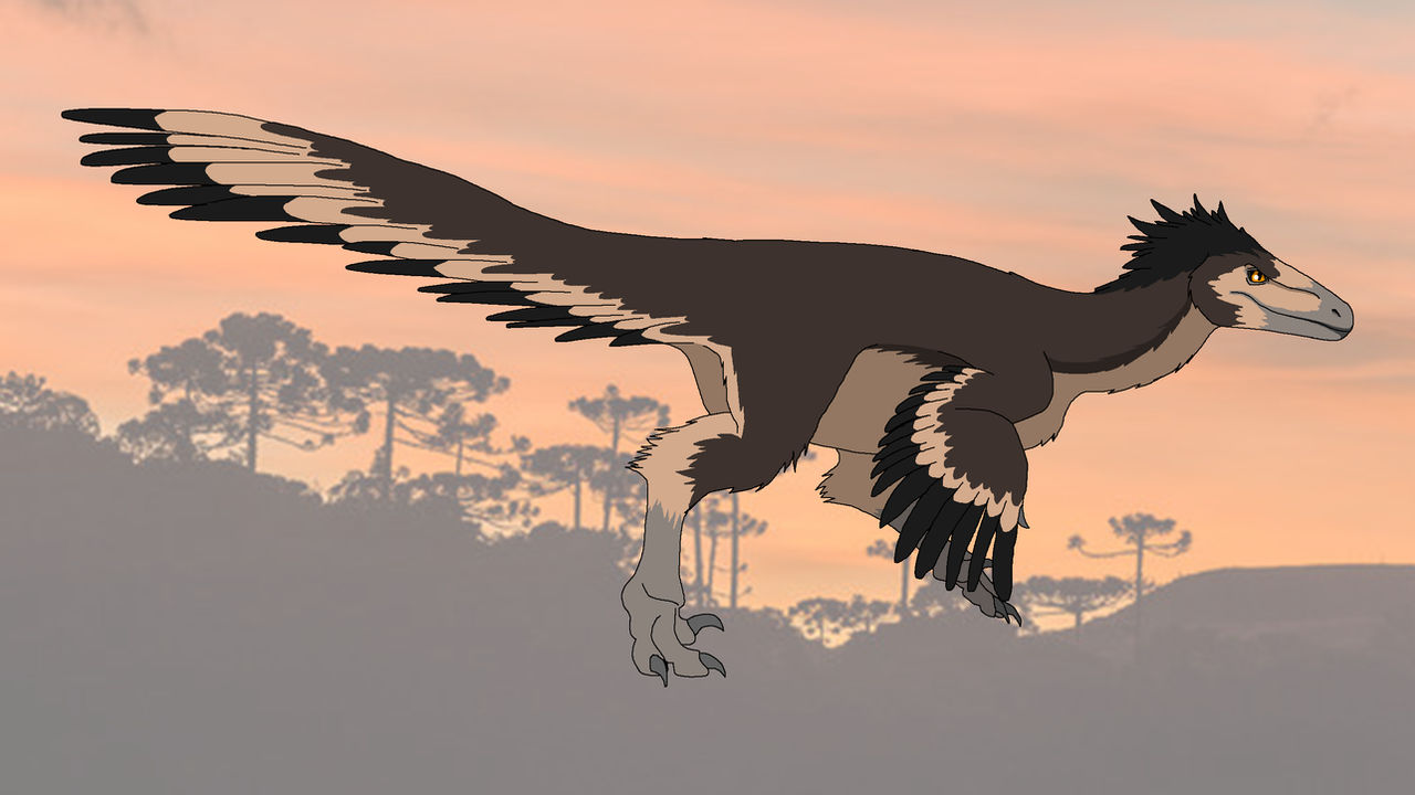 Pectinodon Pectinodon by shipputomas on DeviantArt
