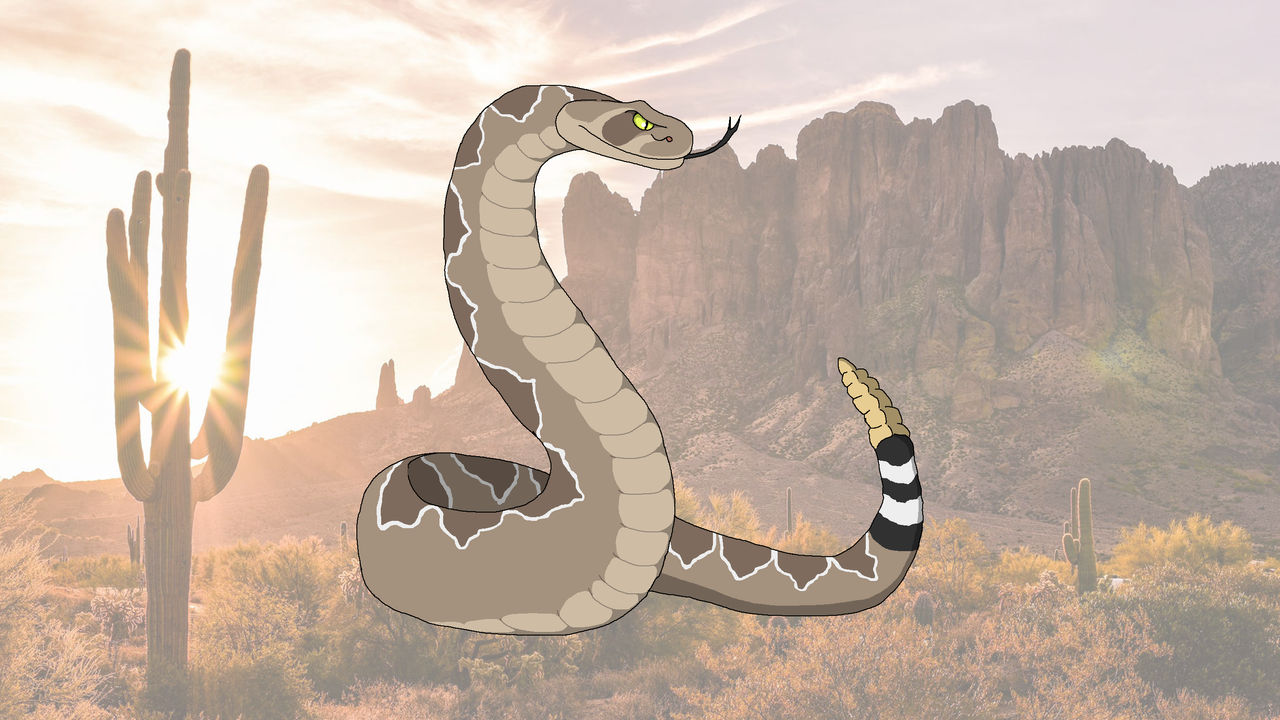 Datwing Rattlesnake Western diamondback rattlesnake by shipputomas on DeviantArt