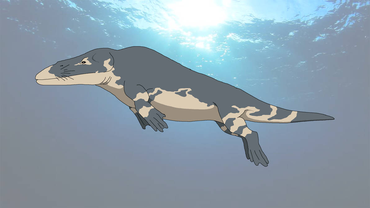 Rodocodox Rodhocetus by shipputomas on DeviantArt