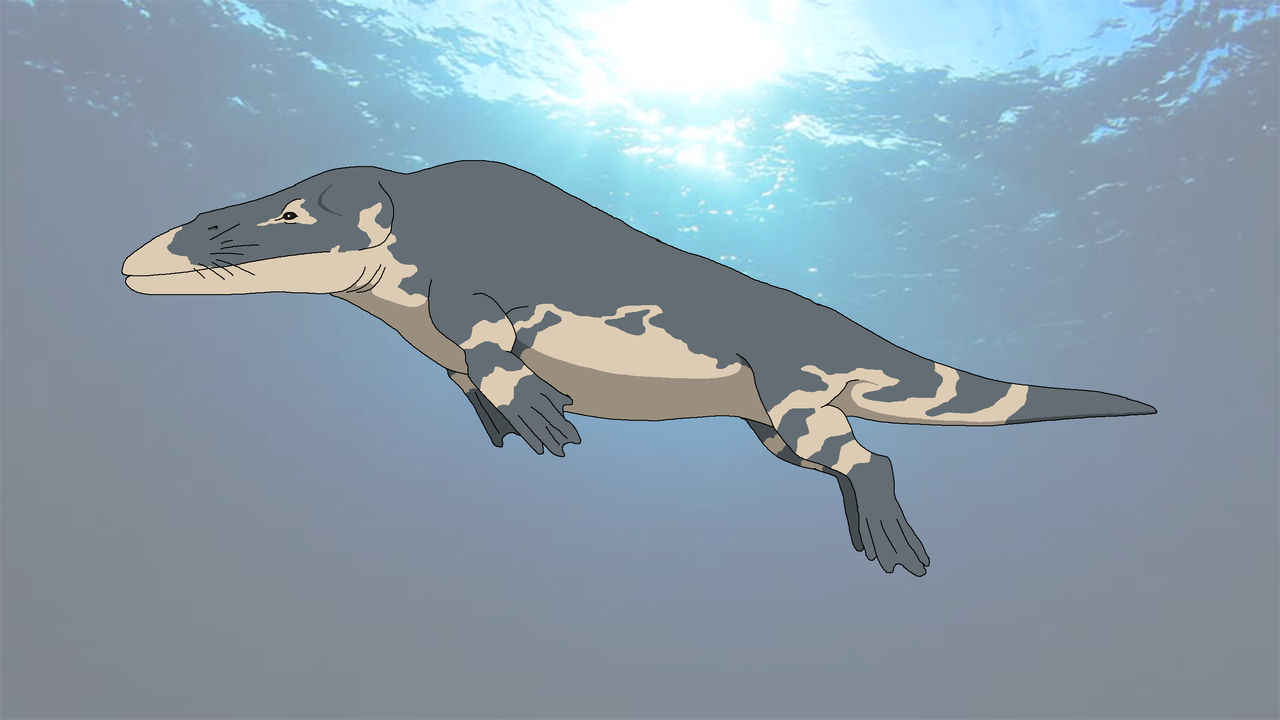 Rodhocetus by shipputomas on DeviantArt