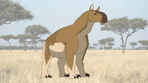 Ancylotherium