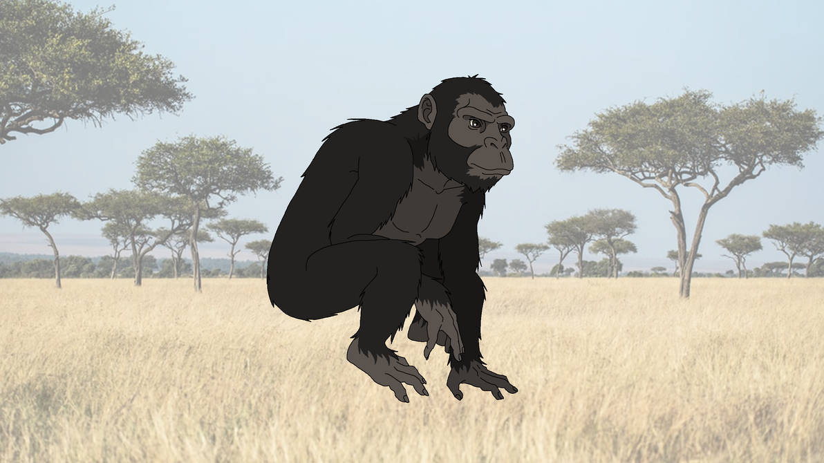 Ardipithecus by shipputomas on DeviantArt