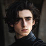 Paul Atreides (Timothee Chalamet)