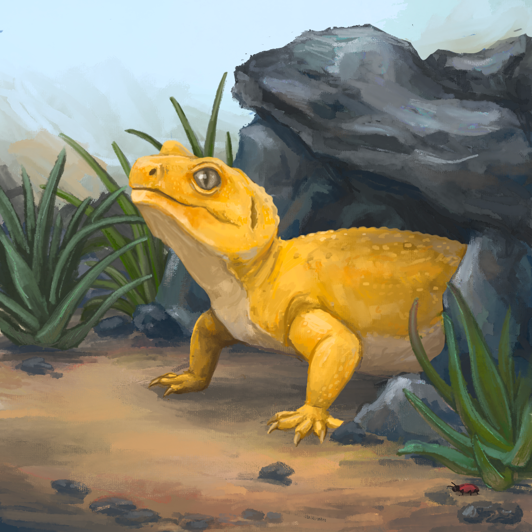 Gecko Deviantart Leopard Gecko by MossyFrog0 on DeviantArt