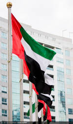 UAE 41 National Day