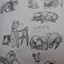 Uno and slender sketches 2