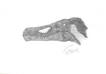 Saurornithoides