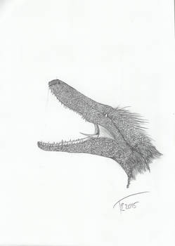 Utahraptor head