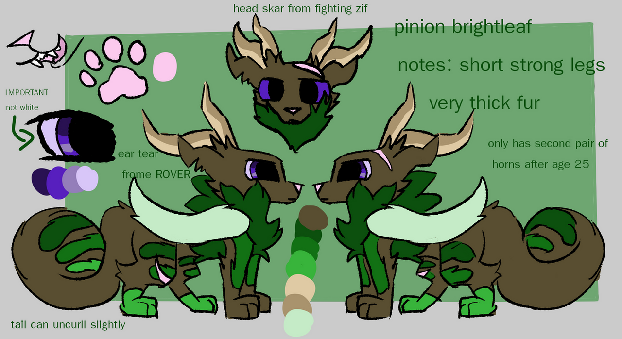 Deviantart Pinon Pinions Reff by pinionbrightleaf on DeviantArt