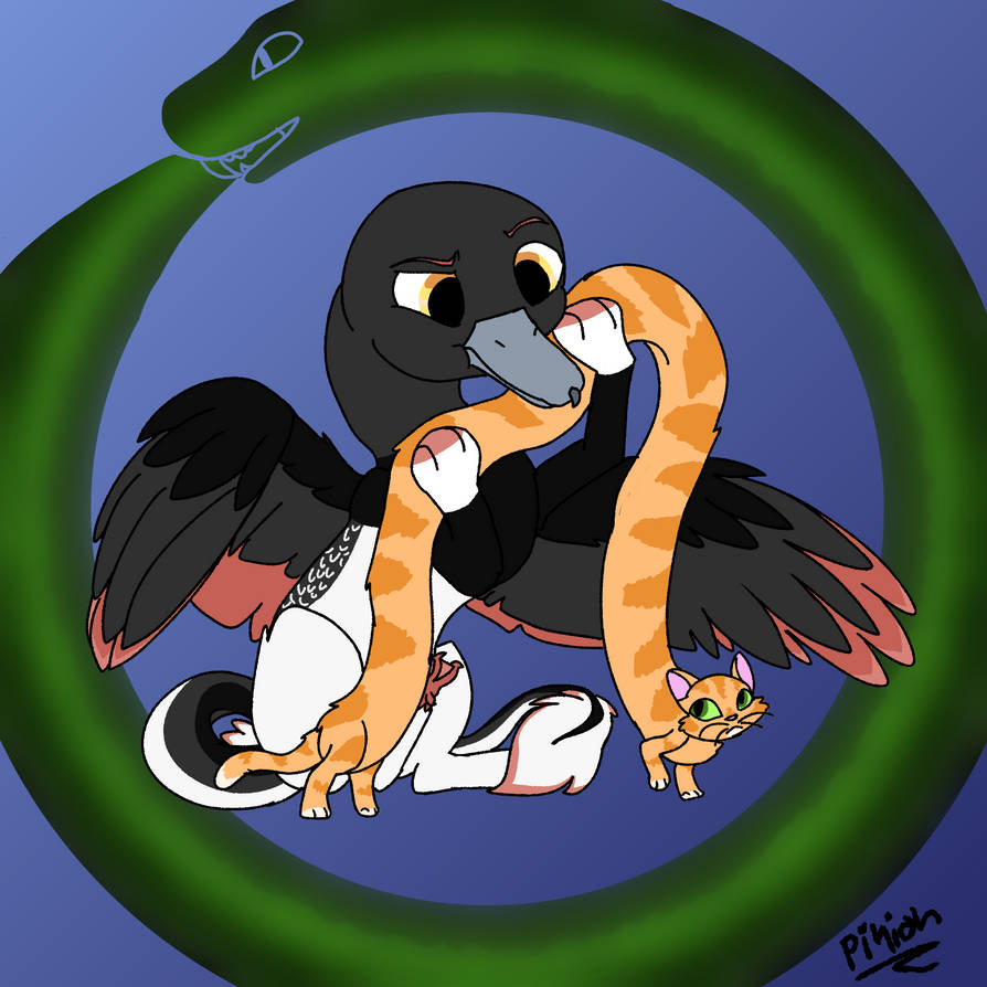 Deviantart Pinon Red is a little bit confused by pinionbrightleaf on DeviantArt