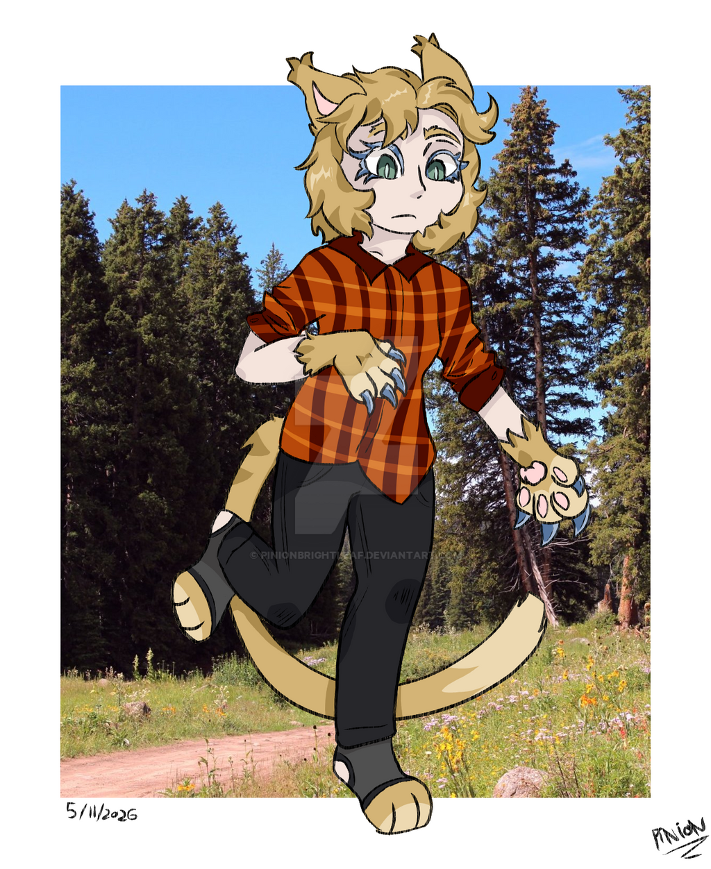 Deviantart Pinon Bop by pinionbrightleaf on DeviantArt