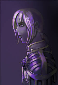 Anduin Wrynn shadow priest