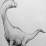 Brachiosaurus 