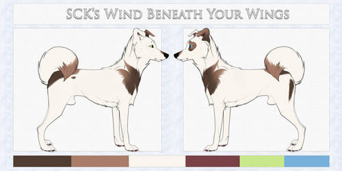 SCK's Wind Beneath Your Wings