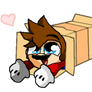 Mario in a box X3