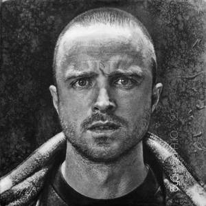 Portrait in pencil. Aaron Paul. Jesse Pinkman