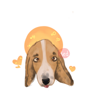 Basset hound