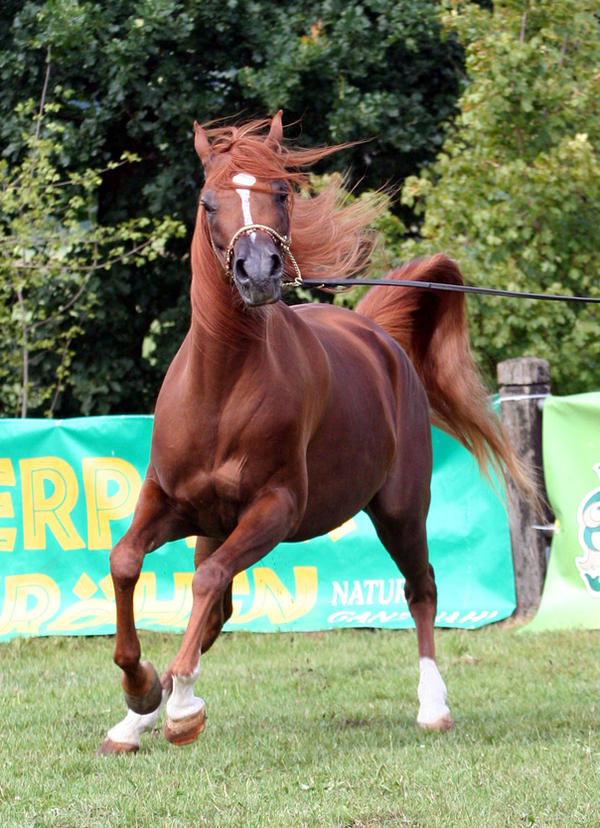 awkward positions 26 by Jello88 on DeviantArt