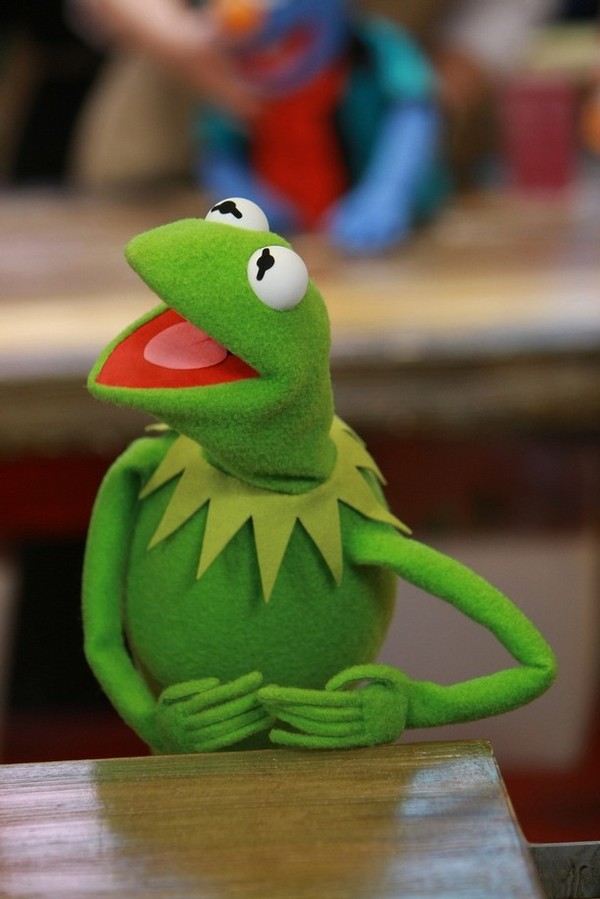 Side eye puppet meme  Eyes meme, Muppet meme, Meme template