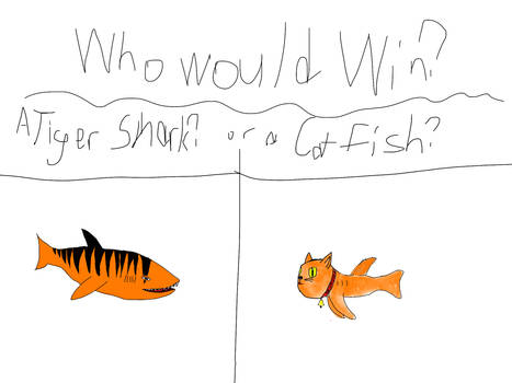 Tiger-Shark Vs. Cat-Fish