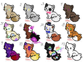 Sum Cat Adopts- CLOSED