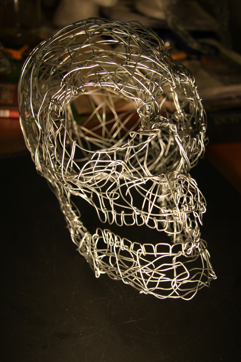 Wired Skull