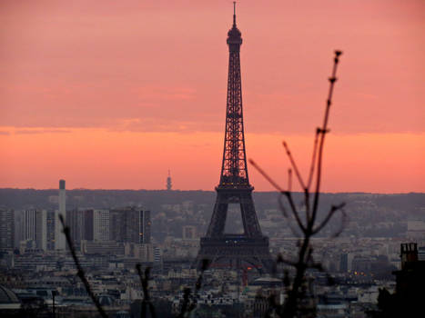 Twilight in Paris!