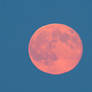 The Moon is Pink Again