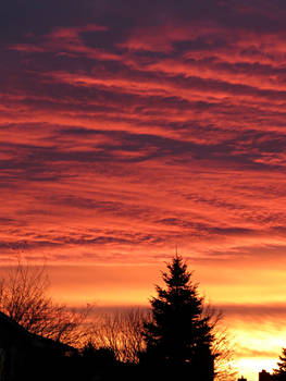 Golden Pink Sunset