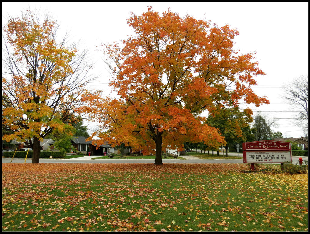 The Turning of the Leaves...