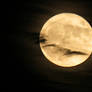 November 14th Super Moon