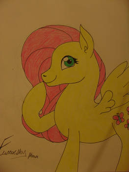 Fluttershy III