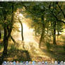 My Desktop 0809
