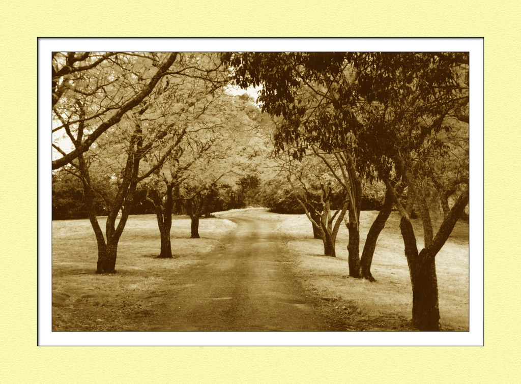 Hunter Valley Road To Nowhere