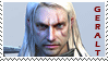 Geralt the Witcher