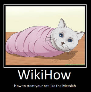 WikiHow