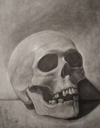 Skull Charcoal Drawing