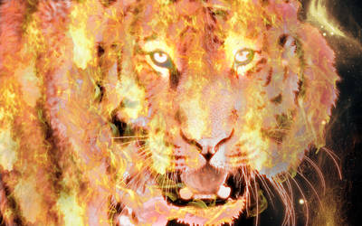 Photomanipulation: Tiger n' fire by xXLOLDAXx
