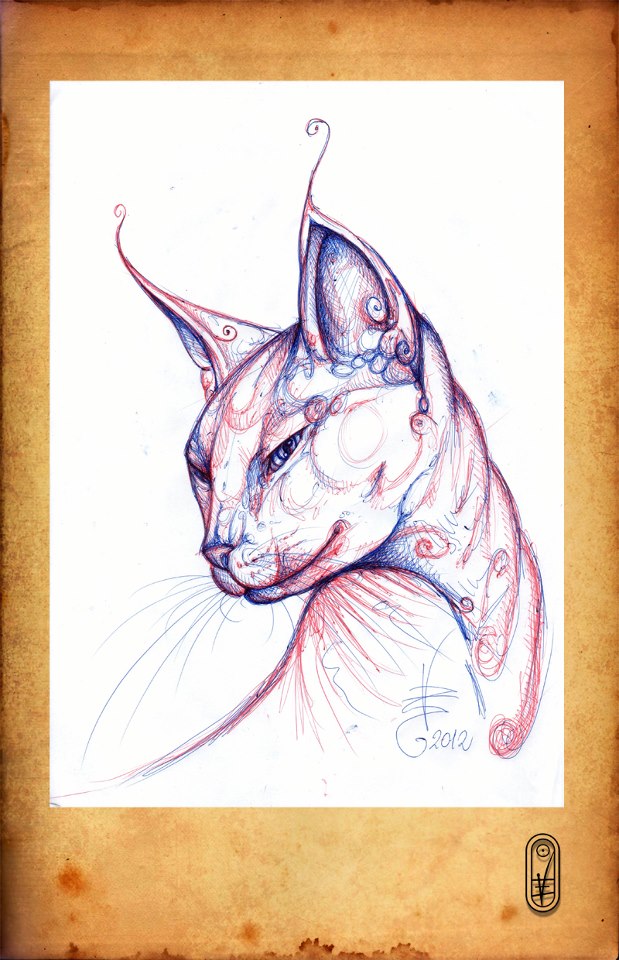 Cat Sphynx by CatBastet70 Cat Sphynx by CatBastet70