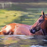 Horse In Water