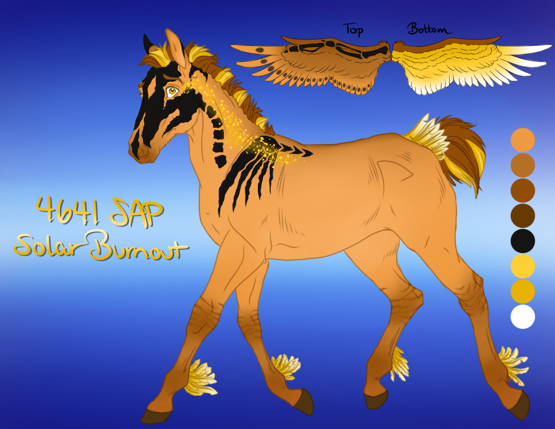 4641 SAP Solar Burnout [foal design]