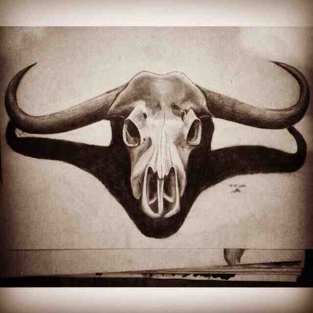 Bull Skull