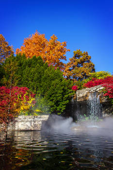 autumn at the zoo