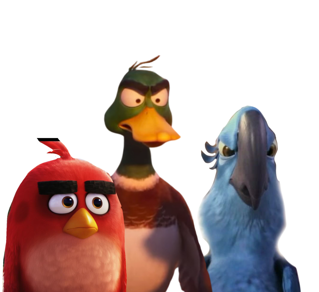 Brids Rio Migration x Rio x Angry Birds by lolboyyeah on DeviantArt