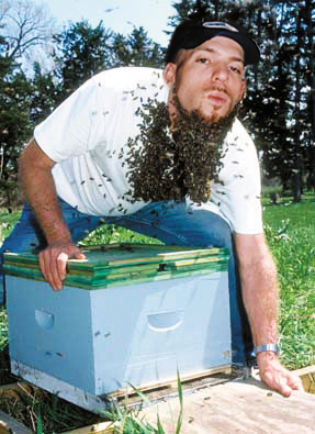 Beard 'O' Bees