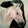 white horse on pencil