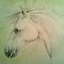 Polychromos horse
