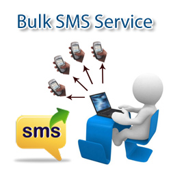 Bulk Sms Service