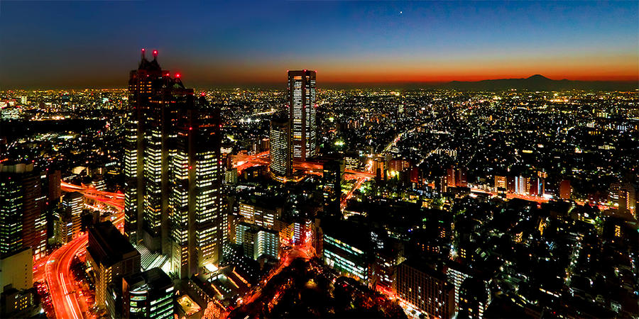 View from the Tokyo Metropolitan Building